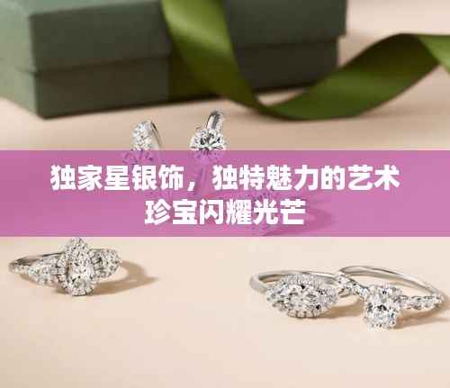 独家星银饰,独特魅力的艺术珍宝闪耀光芒