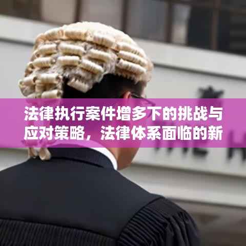法律执行案件增多下的挑战与应对策略，法律体系面临的新挑战