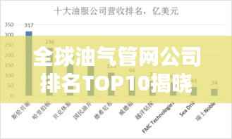 全球油气管网公司排名TOP10揭晓!