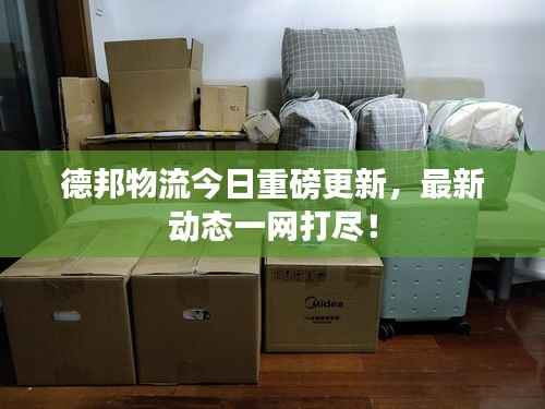 德邦物流今日重磅更新,最新动态一网打尽!