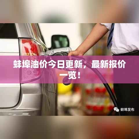 蚌埠油价今日更新,最新报价一览!