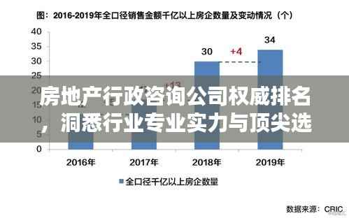 房地产行政咨询公司权威排名,洞悉行业专业实力与顶尖选择