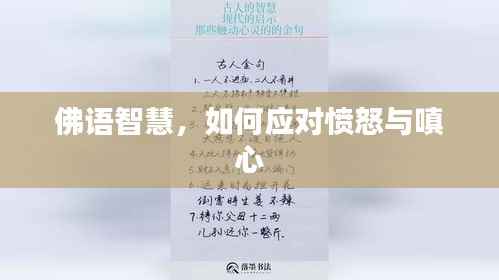 佛语智慧,如何应对愤怒与嗔心