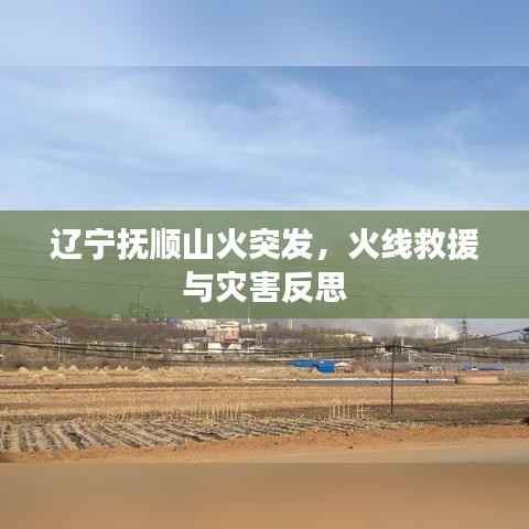 辽宁抚顺山火突发,火线救援与灾害反思