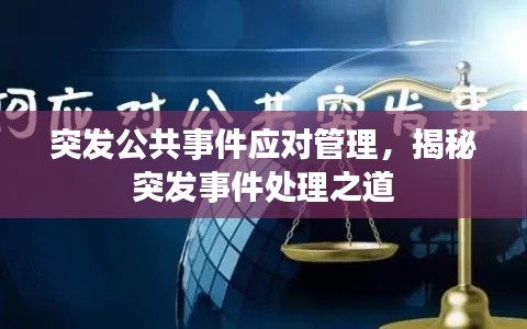 突发公共事件应对管理,揭秘突发事件处理之道