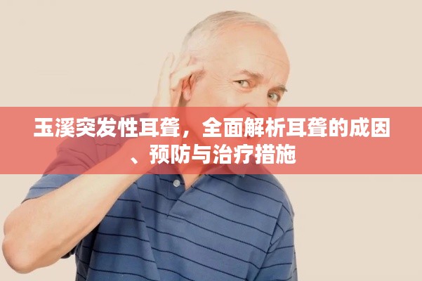 玉溪突发性耳聋，全面解析耳聋的成因、预防与治疗措施