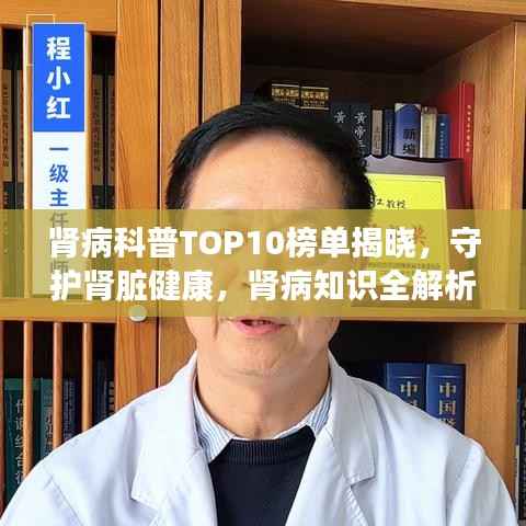 肾病科普TOP10榜单揭晓,守护肾脏健康,肾病知识全解析