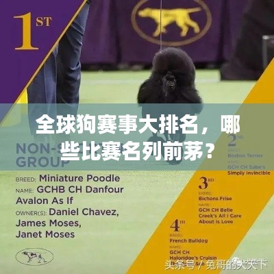 全球狗赛事大排名,哪些比赛名列前茅?