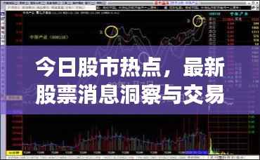 今日股市热点,最新股票消息洞察与交易策略