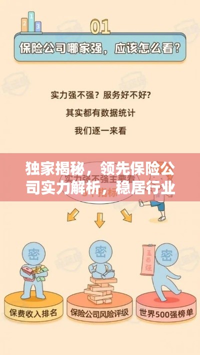 独家揭秘,领先保险公司实力解析,稳居行业榜首!