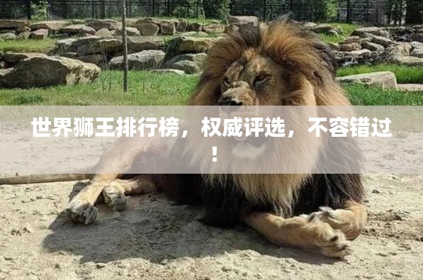 法不阿贵 第2页