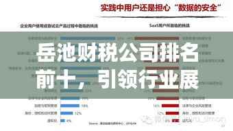 岳池财税公司排名前十,引领行业展现强劲财税实力