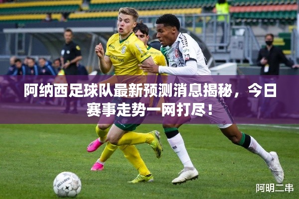 阿纳西足球队最新预测消息揭秘，今日赛事走势一网打尽！
