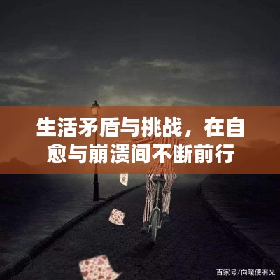 生活矛盾与挑战,在自愈与崩溃间不断前行