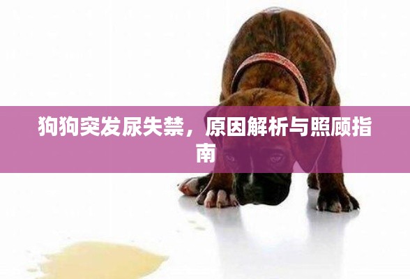 芒屩布衣 第2页