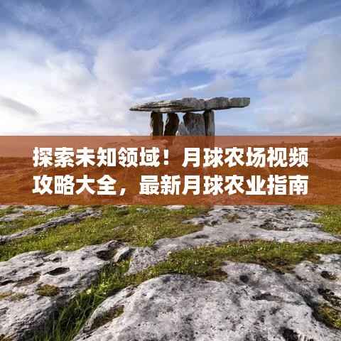 雅量高致 第2页