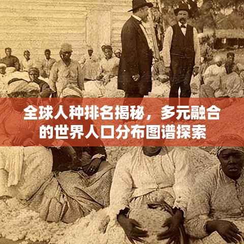 全球人种排名揭秘,多元融合的世界人口分布图谱探索