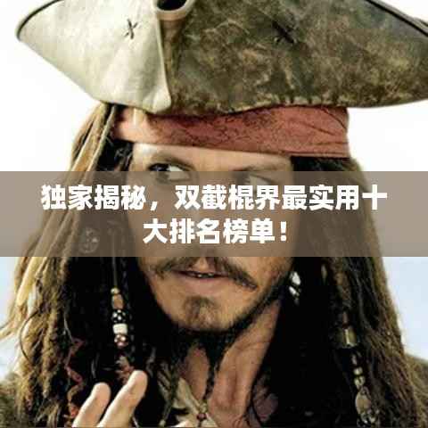 独家揭秘,双截棍界最实用十大排名榜单!