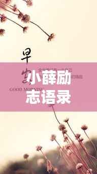 小薛励志语录,激励你前行的力量源泉