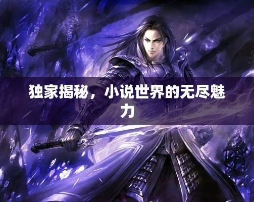 独家揭秘,小说世界的无尽魅力