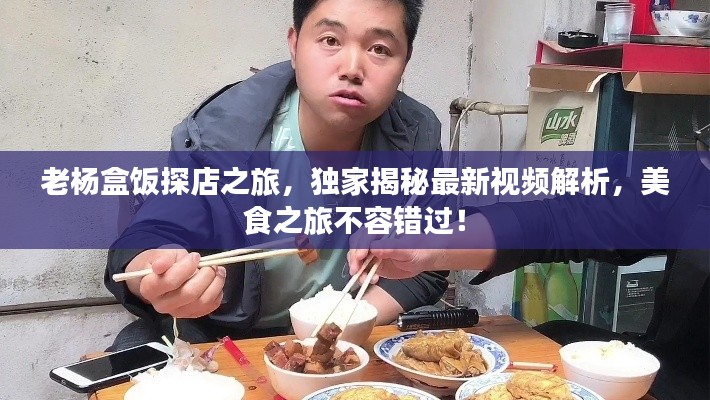 老杨盒饭探店之旅,独家揭秘最新视频解析,美食之旅不容错过!