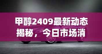 甲醇2409最新动态揭秘,今日市场消息、技术分析一网打尽