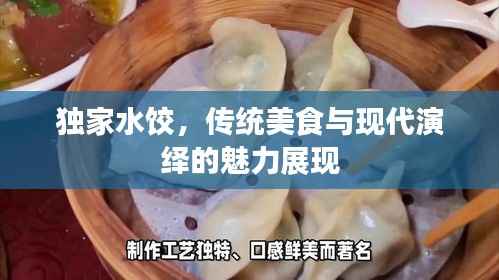 独家水饺，传统美食与现代演绎的魅力展现