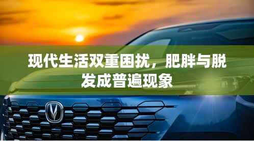 现代生活双重困扰,肥胖与脱发成普遍现象