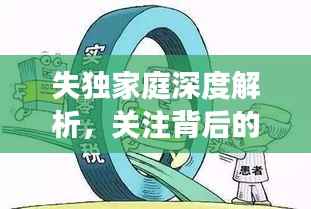 失独家庭深度解析，关注背后的故事与需求