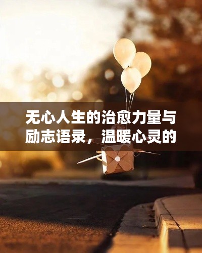 无心人生的治愈力量与励志语录，温暖心灵的话语