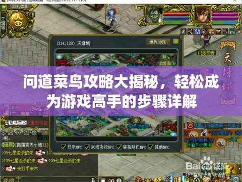 问道菜鸟攻略大揭秘，轻松成为游戏高手的步骤详解