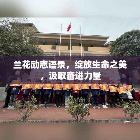 兰花励志语录，绽放生命之美，汲取奋进力量