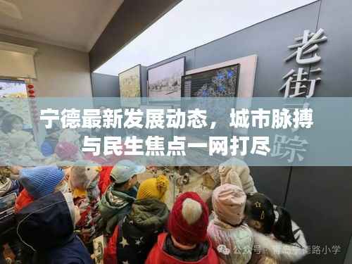宁德最新发展动态，城市脉搏与民生焦点一网打尽